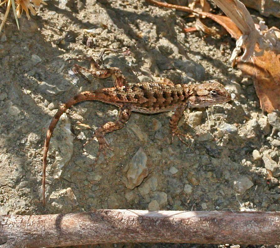 September 2013 Photos